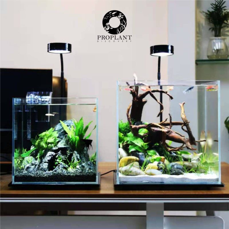 Custom, LED and Acrylic aquascaping tools Aquariums 