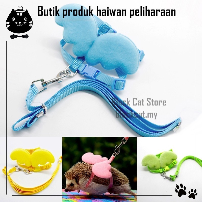 Black cat online store hotsell