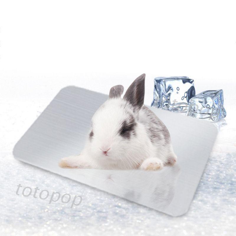 Bunny 2024 cooling pad