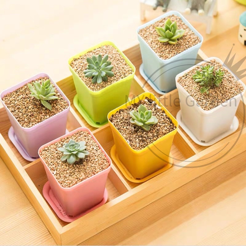 Mini Plastic Flower Pots vase / Pasu Bunga Plastik kecil Coklat Tebal Tahan  Lasak 【Ø55mm】