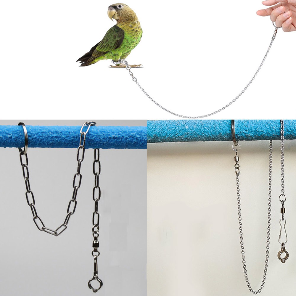 Parrot best sale leash leg