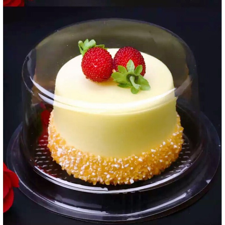 Plastic packaging for chiffon cake /sponge cake 10pcs per set