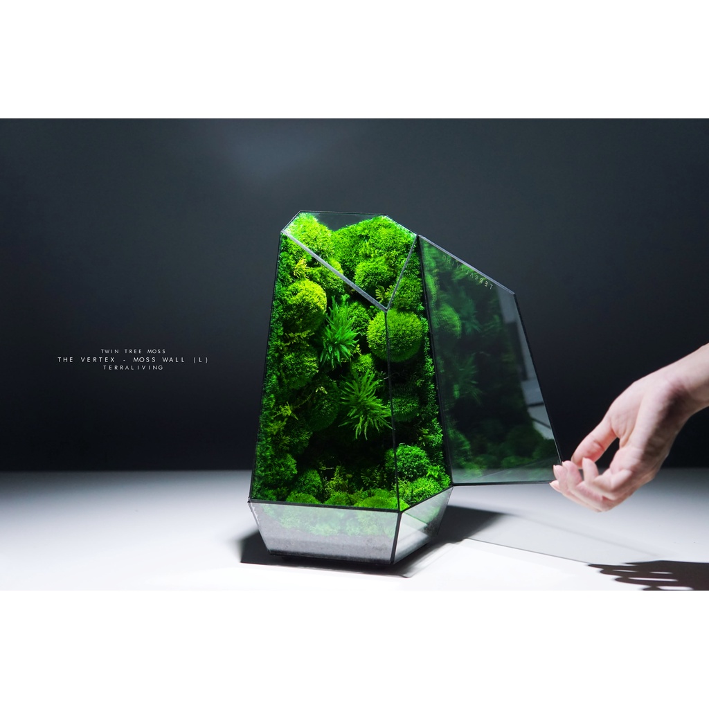 Vertex ZERO Pure Moss Wall Terrarium - Terrarium Creations