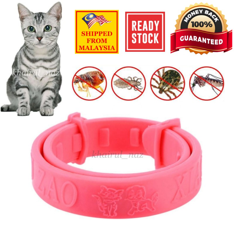 PINK Cat Kitten Anti Flea Collar Adjustable Tick Mites Lice