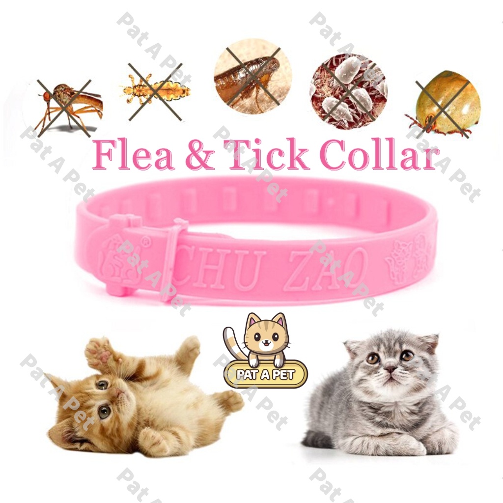 Cat collar outlet anti flea