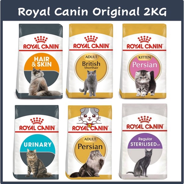 Royal canin outlet british shorthair sterilised