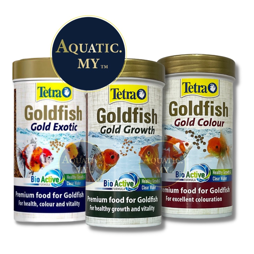 Tetra goldfish gold sales exotic