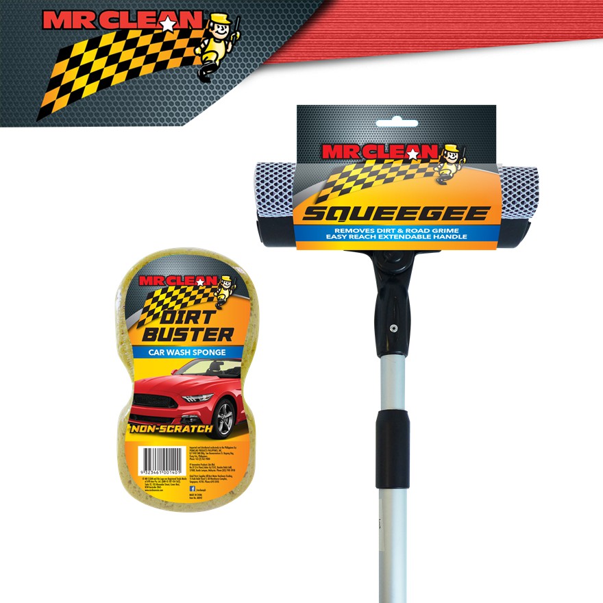 Mr Clean Squeegee