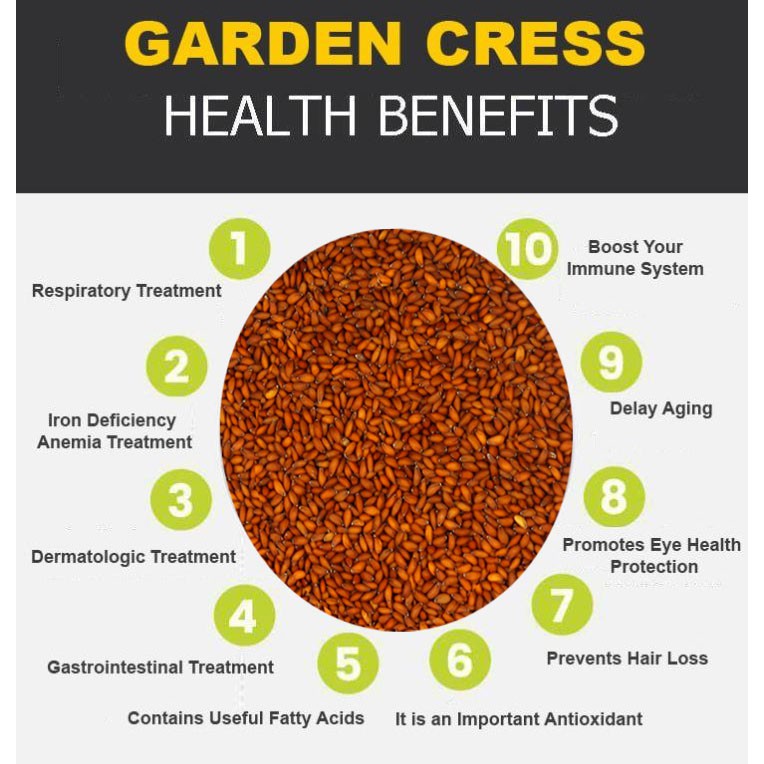 Garden Cress: Health Benefits and Nutritional Value