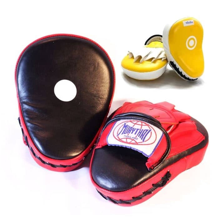 Muay thai hot sale focus mitts