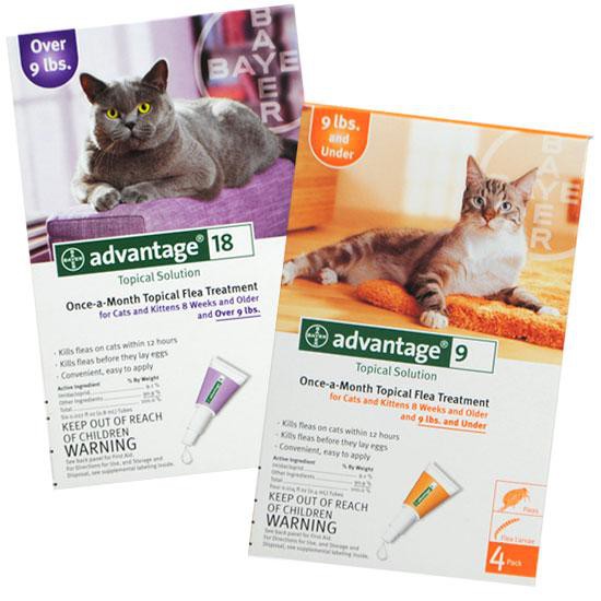 Advantage best sale cat flea