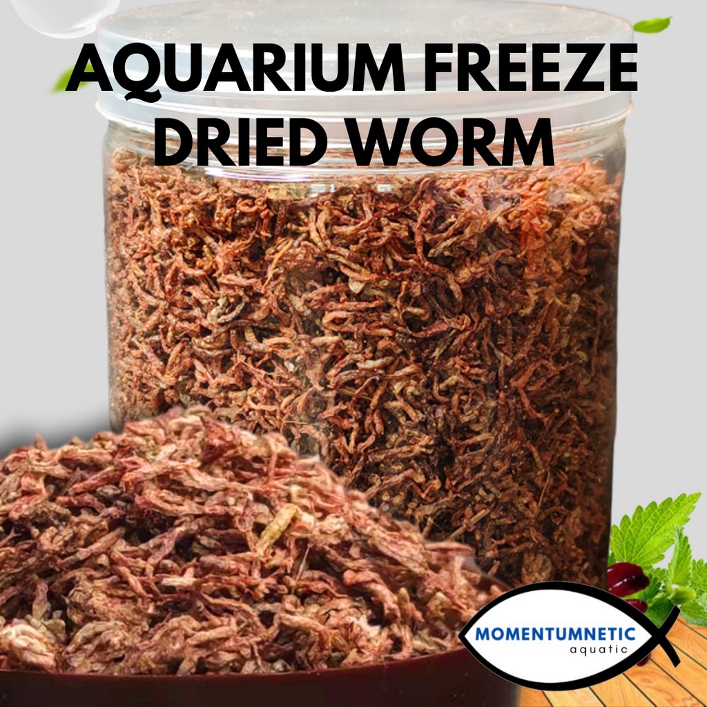 🔥READY STOCK🔥 Aquarium Freeze Dried Worm Dried Blood Worm Aquarium Fish  Food