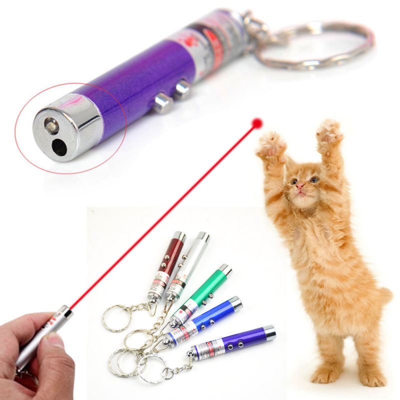 Cat shop light toy