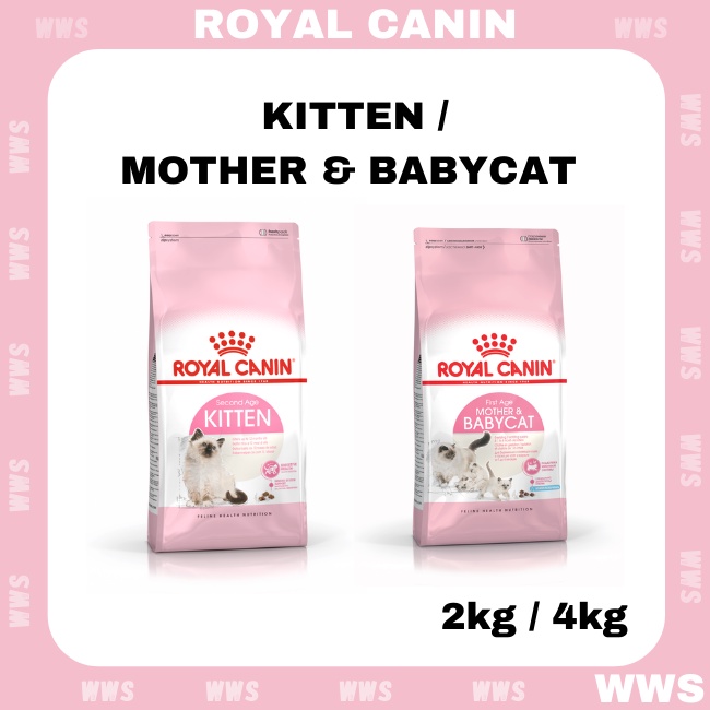 Royal canin mother and hot sale kitten