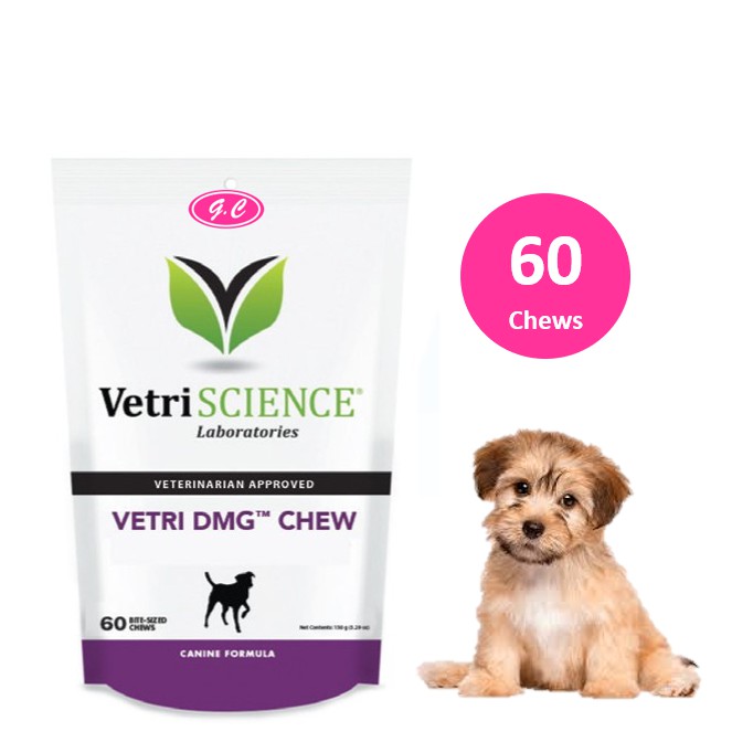 Dmg supplement best sale for dogs