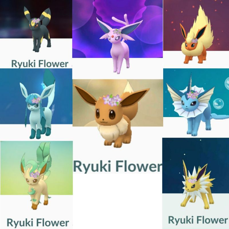 Shiny Eevee Flower Crow & Evolution Trade 20k stardust