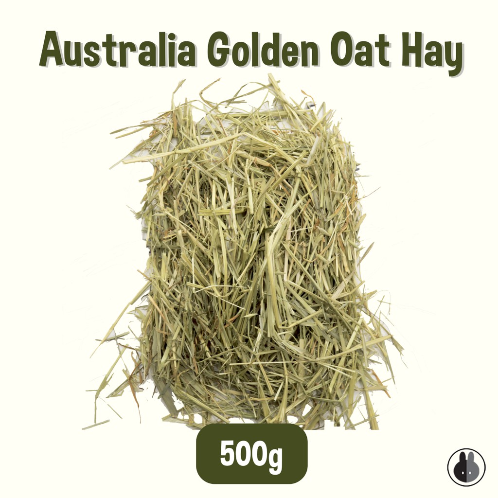 Oat hay for rabbits sales