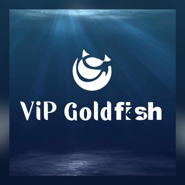 VIP Goldfish, Online Shop | Shopee Malaysia