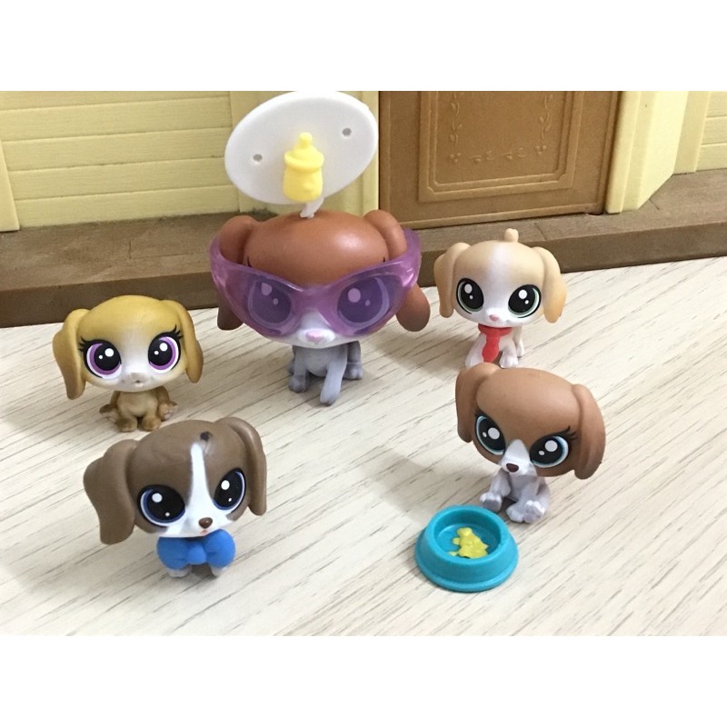 Littlest pet shop store beagle