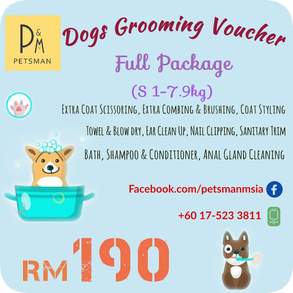 Dog on sale grooming packages