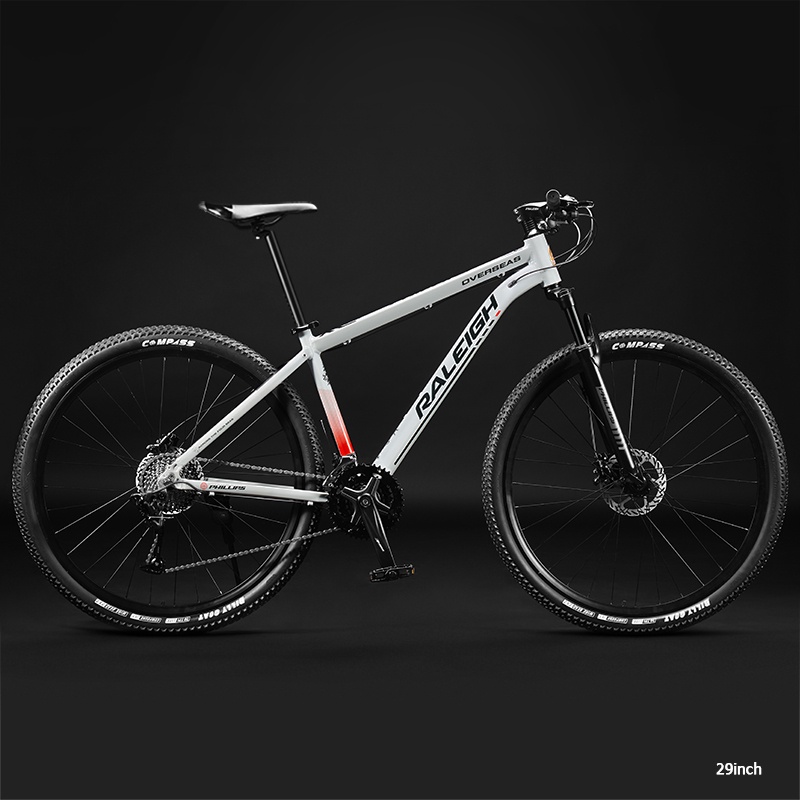 Raleigh sales mtb bike