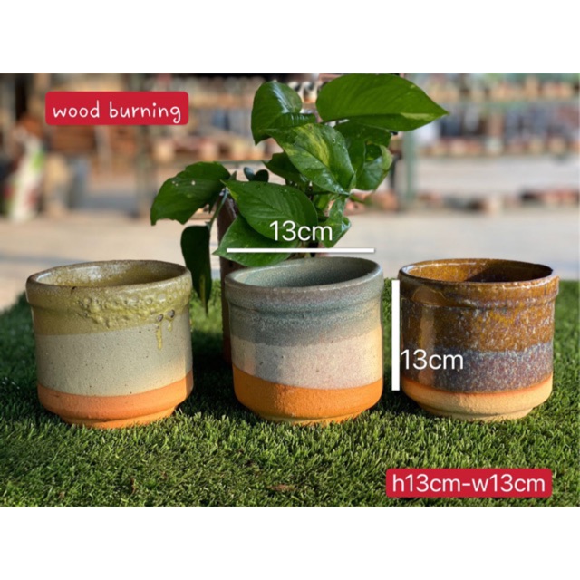 Local pot horticulture, Online Shop | Shopee Malaysia