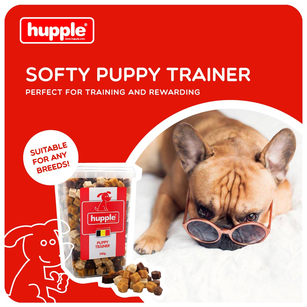 Pet club dog food sales