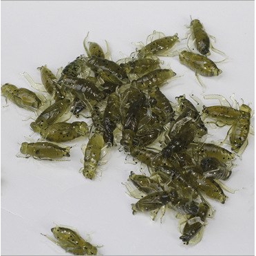 50pcs Soft Insect Bait Cricket Lure Silicone Grasshopper Craws Lake fishing  Bait