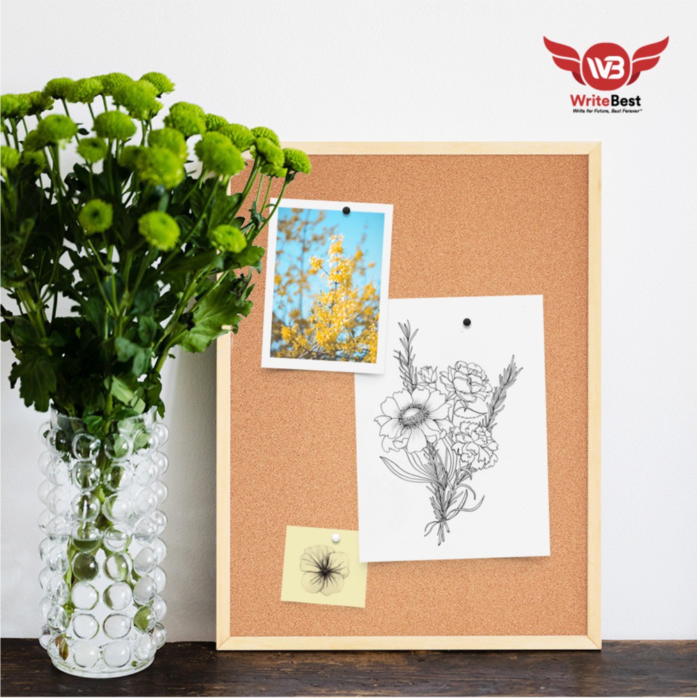 WriteBest Official Store Online, July 2024 | Shopee Malaysia