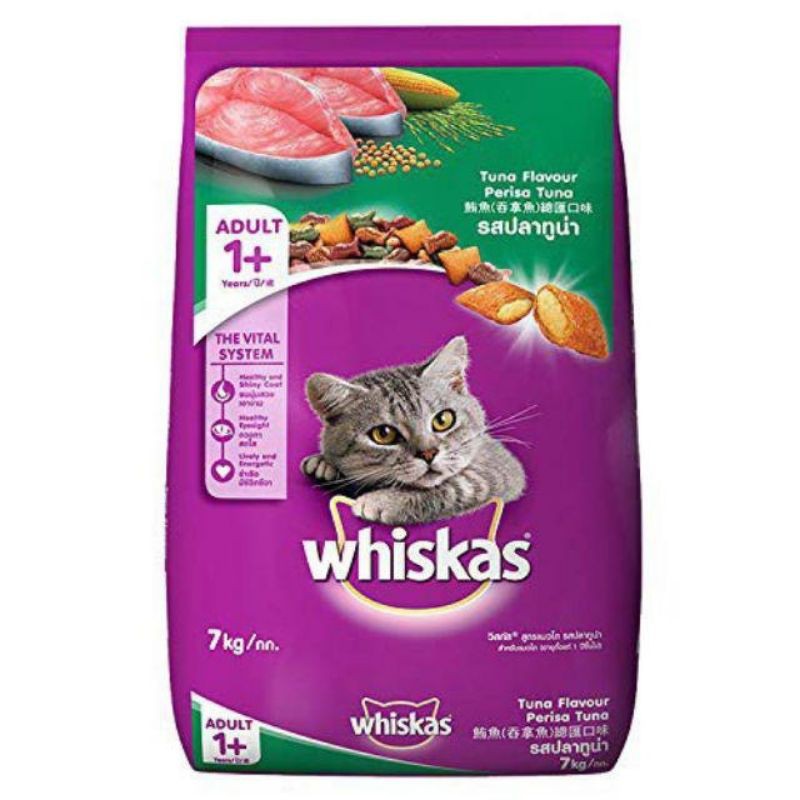 Cat on sale food shopee