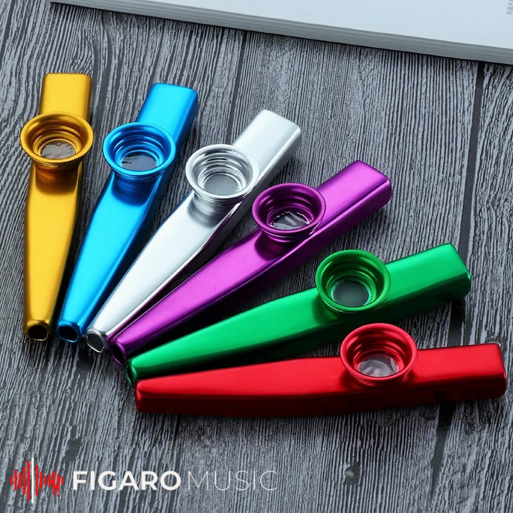 Music instrument store kazoo