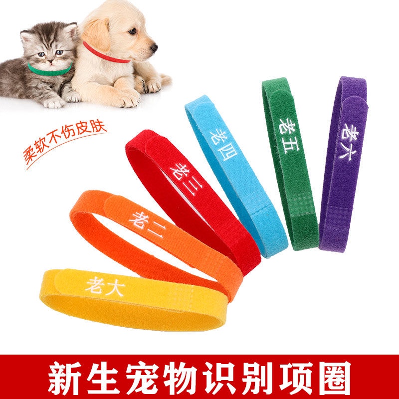 Petown 2024 bark collar