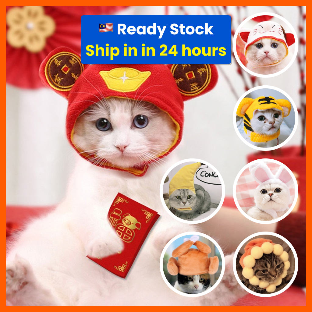 Fortune cat clearance costume