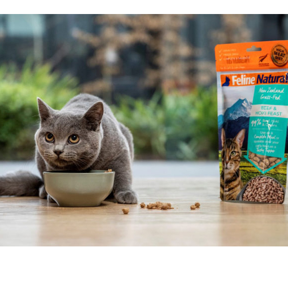 Feline natural freeze dried cat outlet food