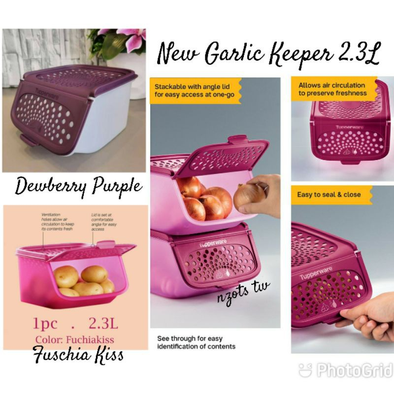 6 Jenis: Tupperware Garlic Keeper 3L Medium/ 5.5L Large/ 2.3L