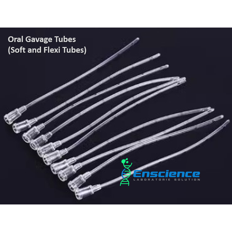 Flexible Plastic Tubing Oral Gavage Needles (Box of 20