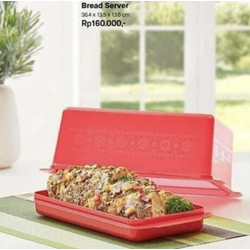 Tupperware Bread Saver