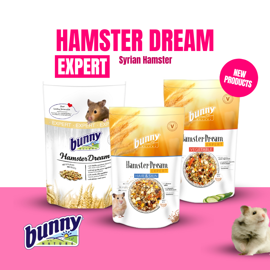 Bunny dream 2024 hamster food