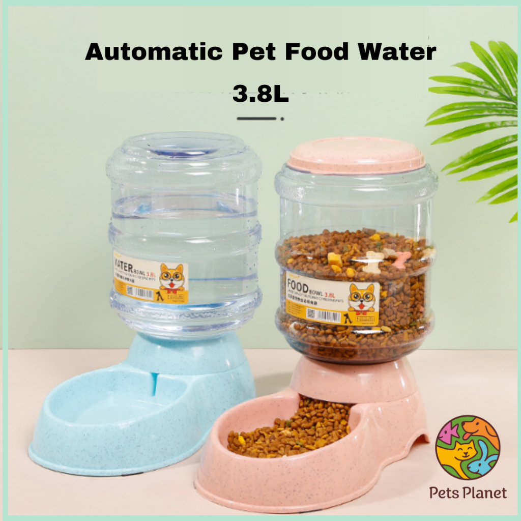 Automatic water best sale dispenser for cats