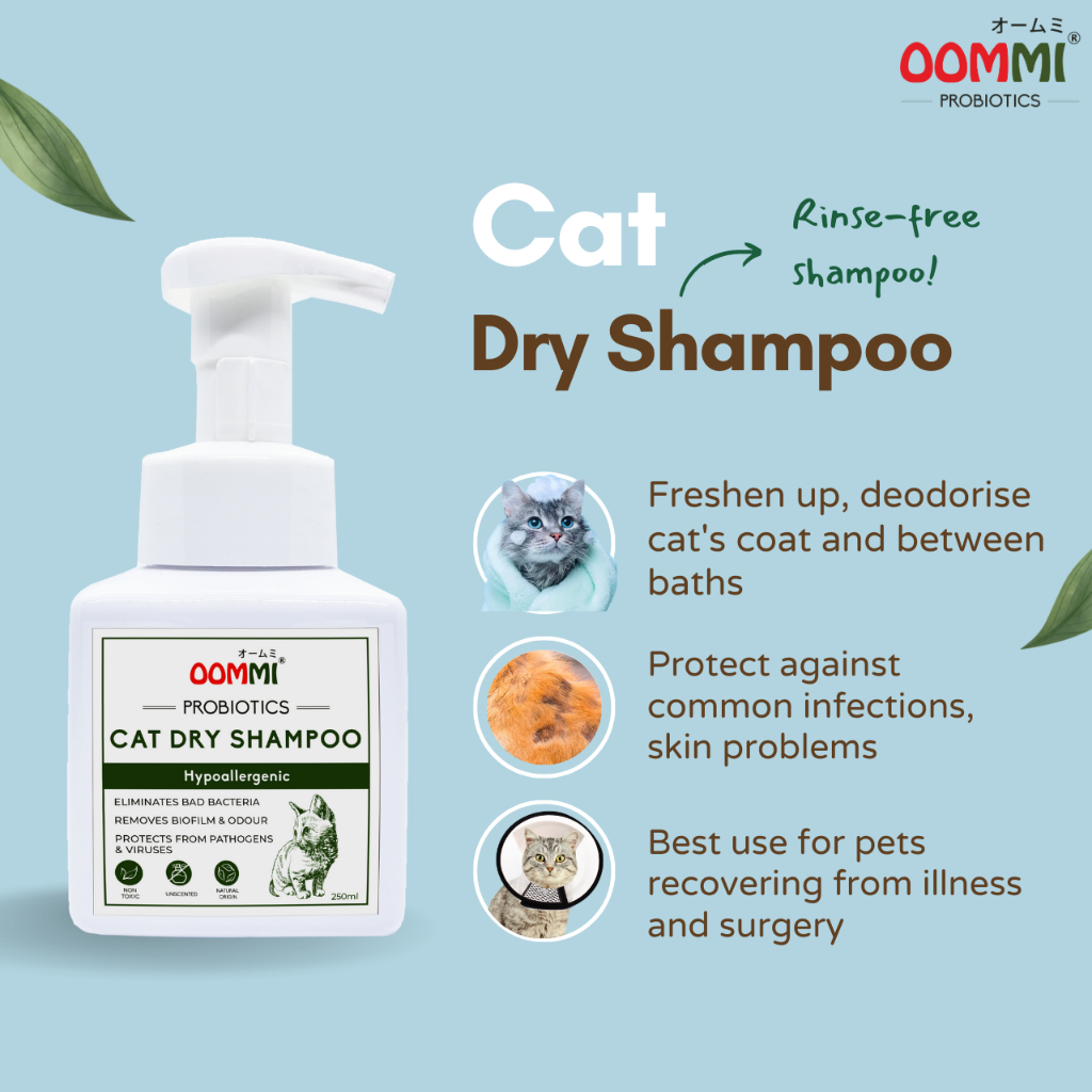 Best cat outlet dry shampoo