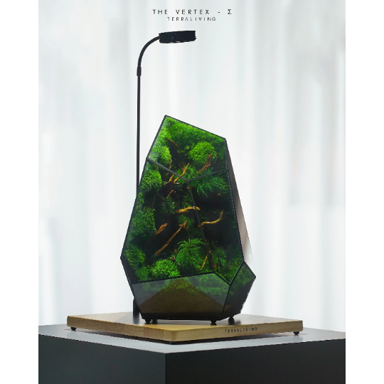 TerraLiving: Malaysian Startup Designing Artistic Moss Terrariums