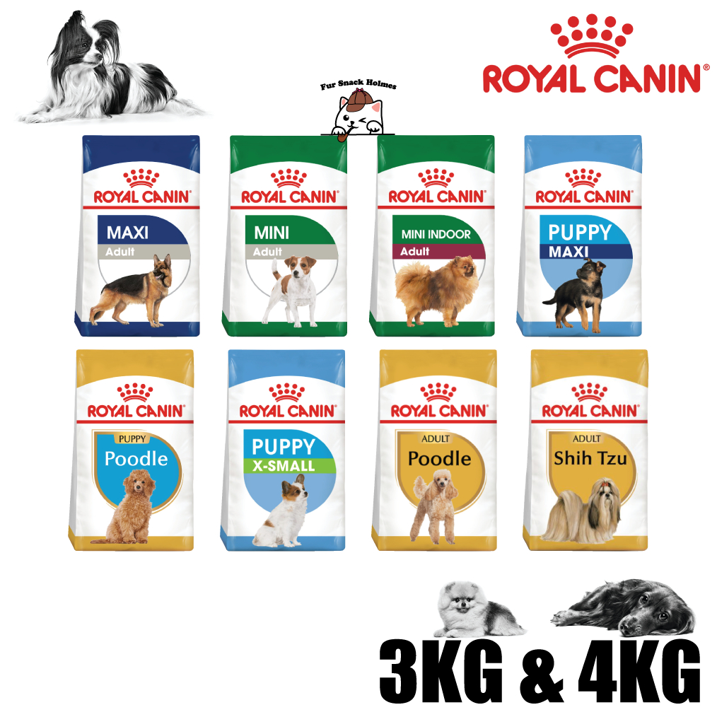 Royal canin hotsell for poodle puppy