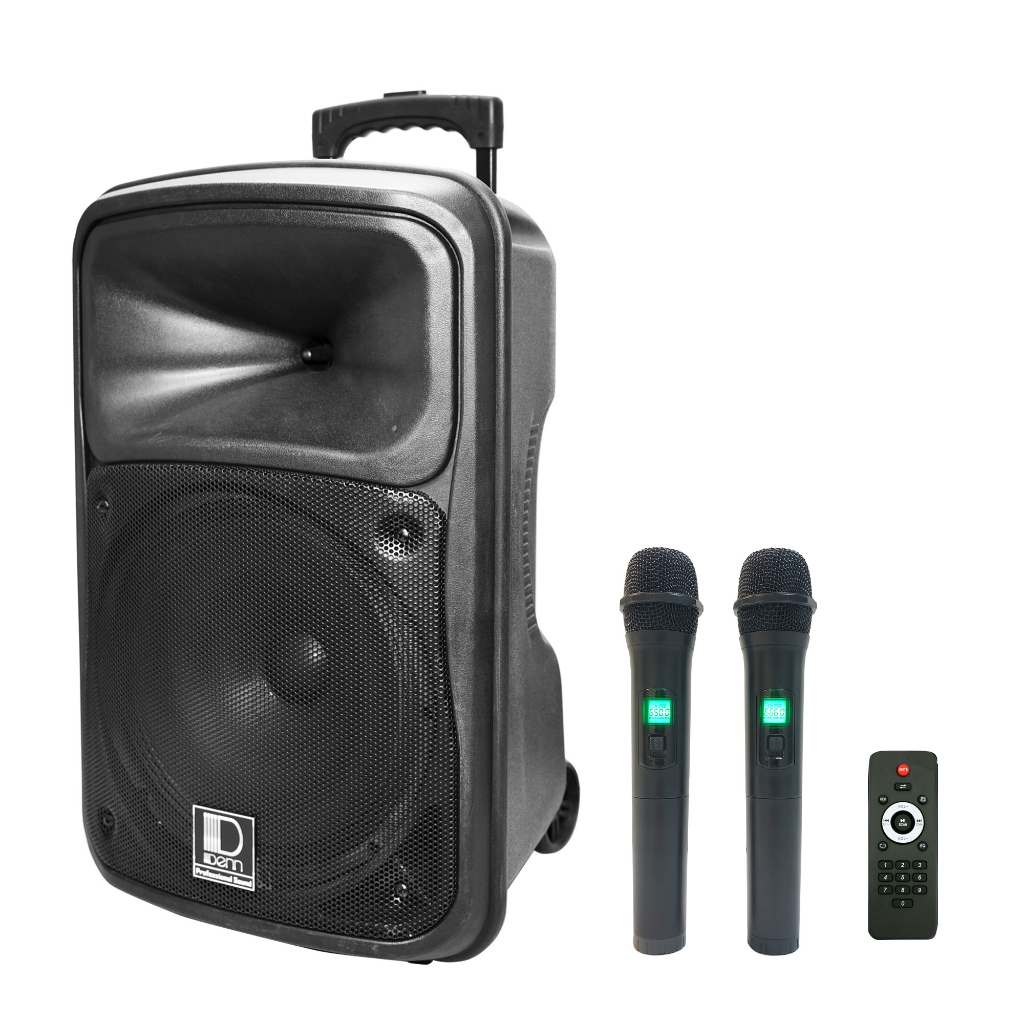 Portable pa system with 2 best sale wireless microphones