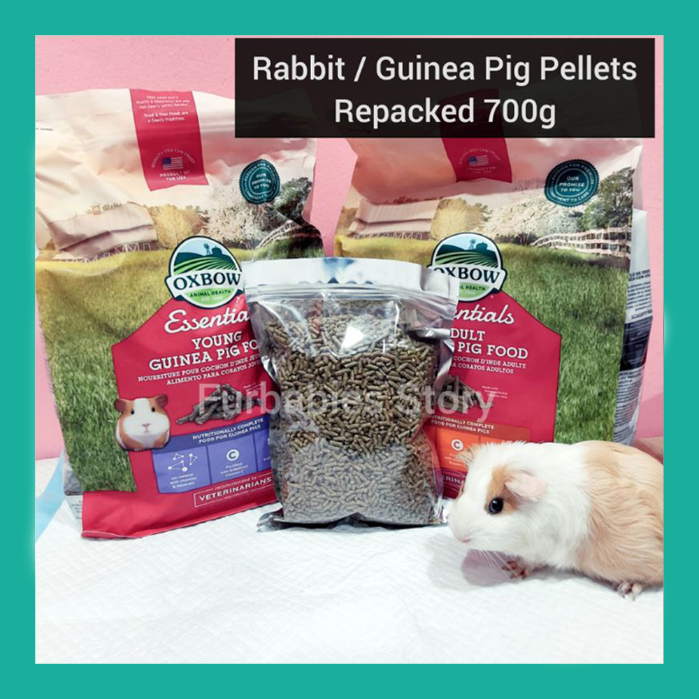 Oxbow young store guinea pig food