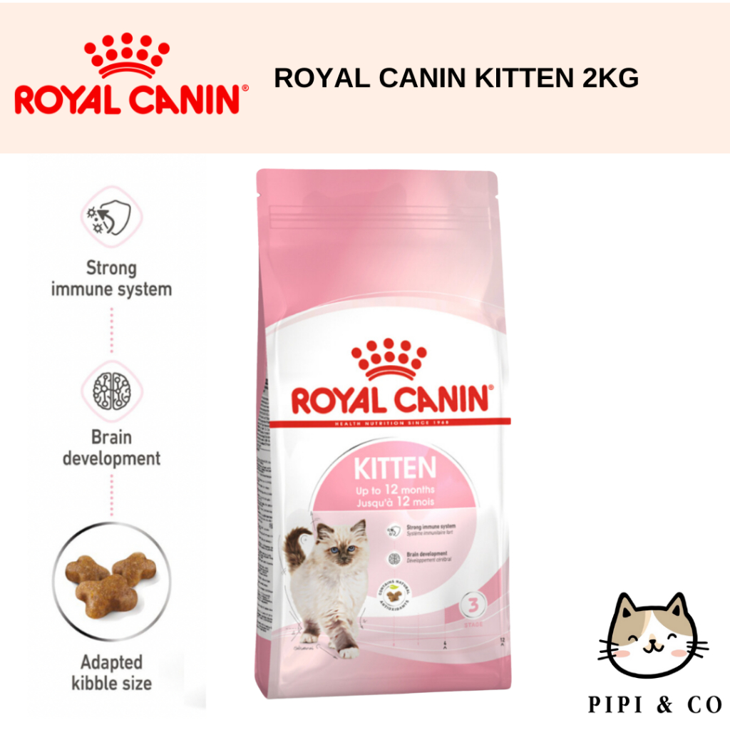 Royal canin kitten dry best sale food 2kg