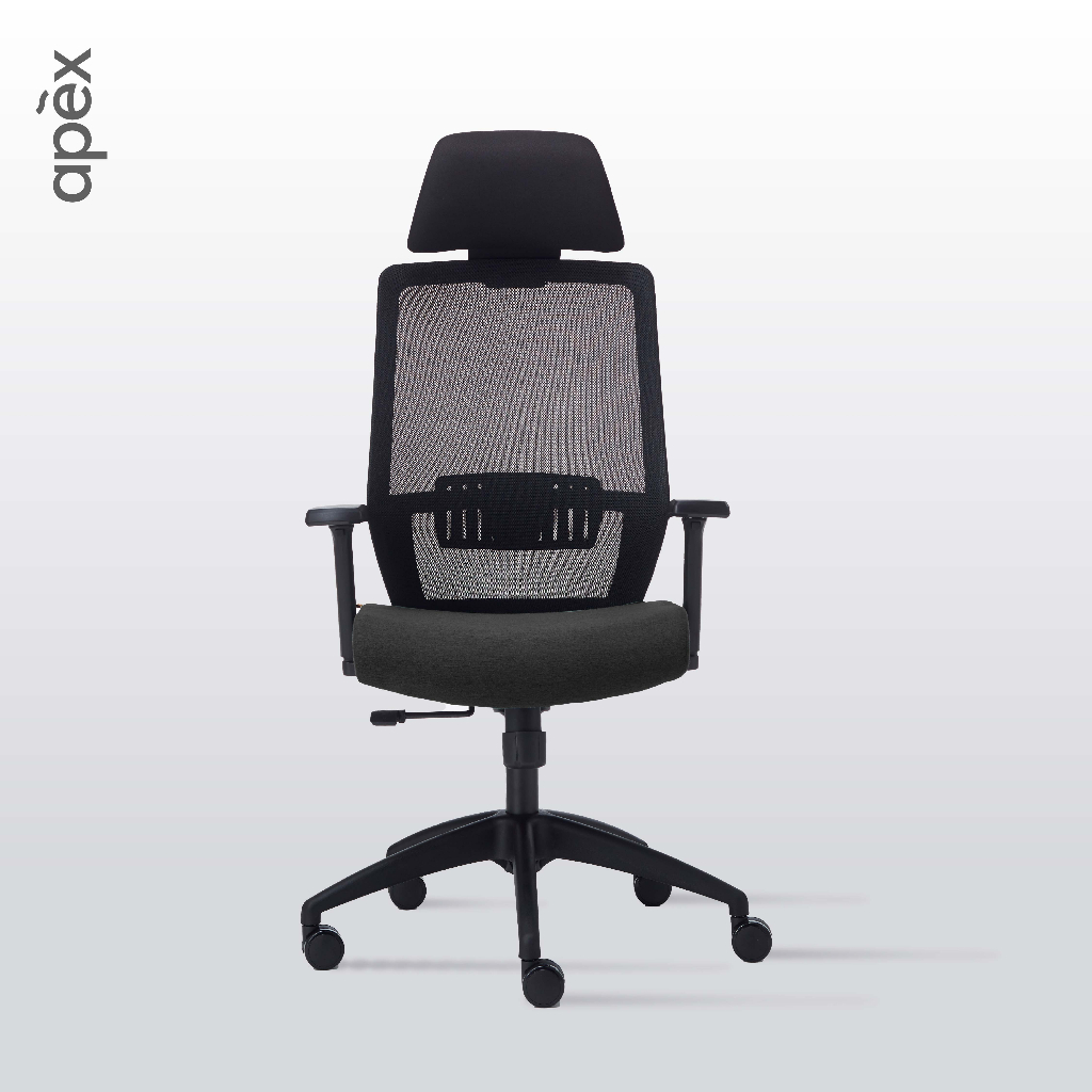 Apex ergonomic outlet chair