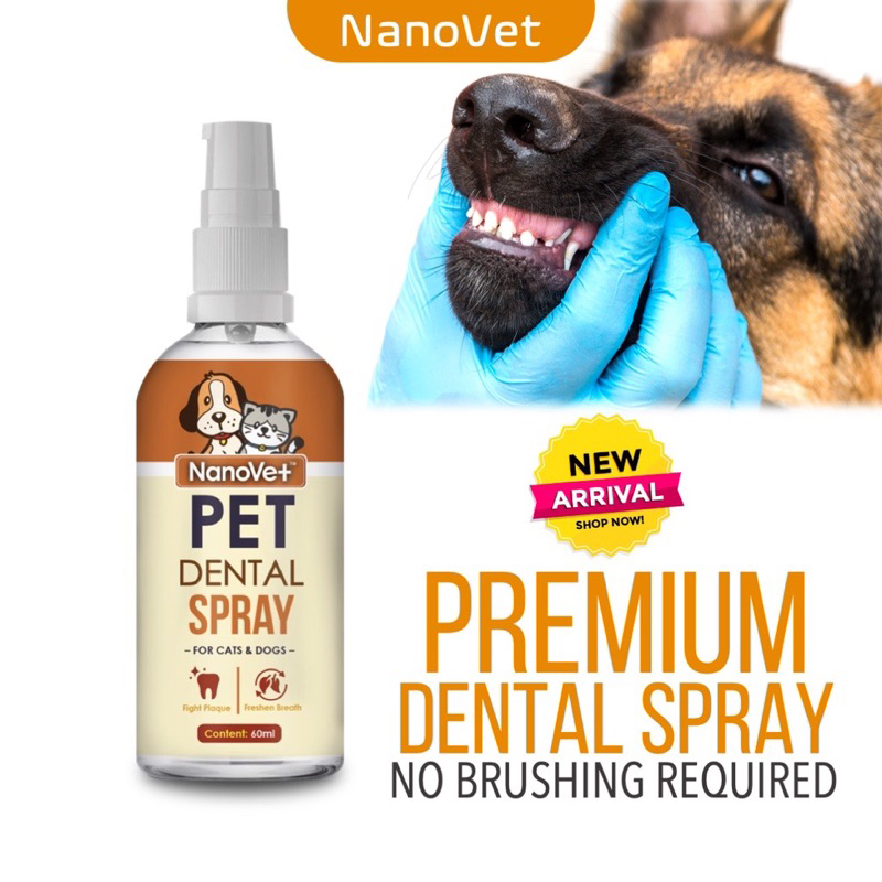 Cat dental hot sale spray