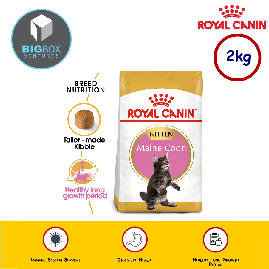 Royal canin maine coon best sale kitten 2kg