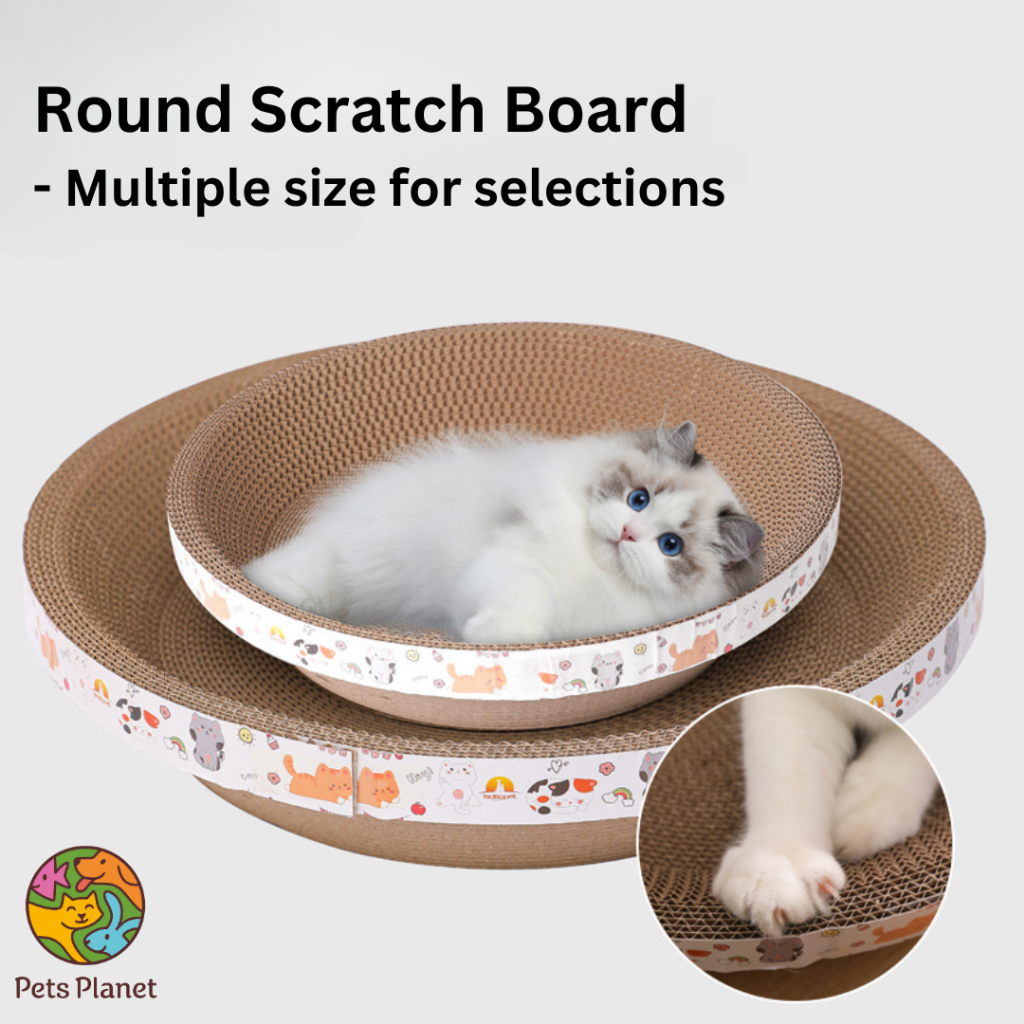 Animal planet cat scratcher sales