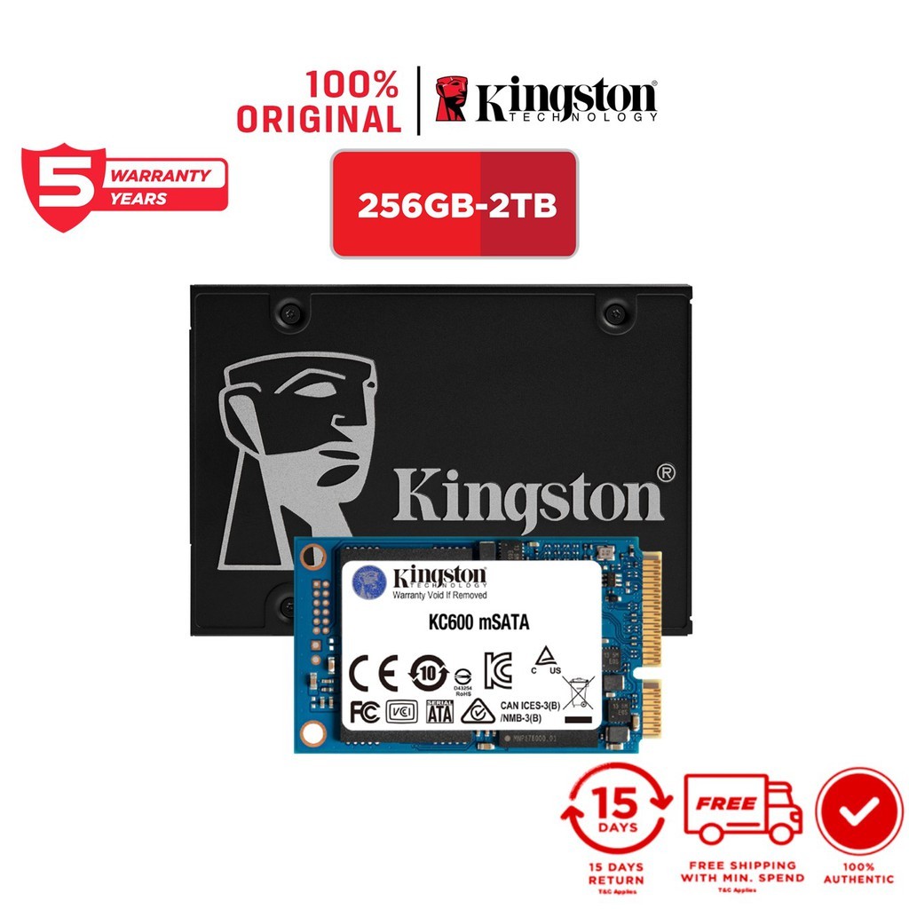 Kingston hot sale 256gb ssd